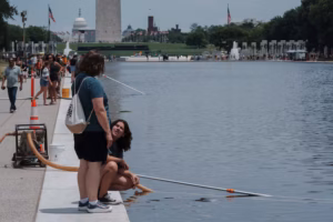 Reflecting Pool’s algae bloom and peeling paint reflect Trump’s treatment of U.S. history