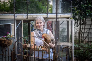 The battle for backyard chickens | Inquirer South Jersey