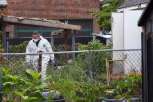 What we know about the Olney investigation into missing women