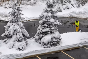 N.J. Democratic delegation asks President Trump to reverse FEMA aid rejection for deadly February snowstorm