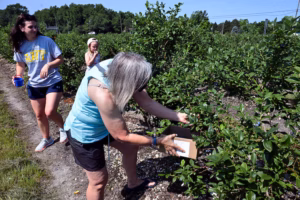 How farmers are surviving lost crops | Inquirer South Jersey