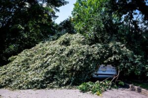 Narberth, Lower Merion residents and officials grapple with afternoon of vicious microburst storms