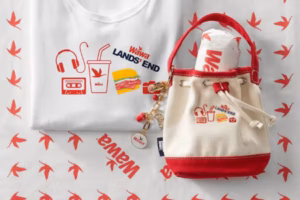 Wawa and Land’s End launched a mini sandwich tote bag that sold out online instantly. Unfortunately, it’s perfect.