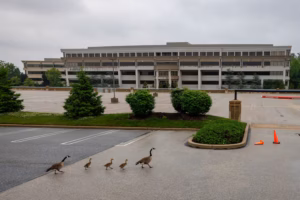 4.6-million-square-foot King of Prussia data centers poised for nitty-gritty discussion