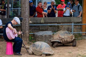 Viral French musician Plumes serenades animals at the Philly Zoo