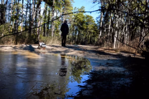 Still missing in the Pine Barrens | Morning Newsletter