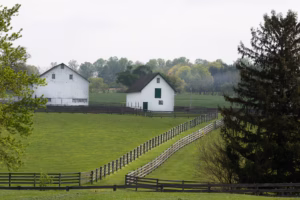 Fired historical commission strikes out on its own | Inquirer Chester County